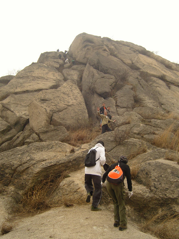  snc10118.jpg