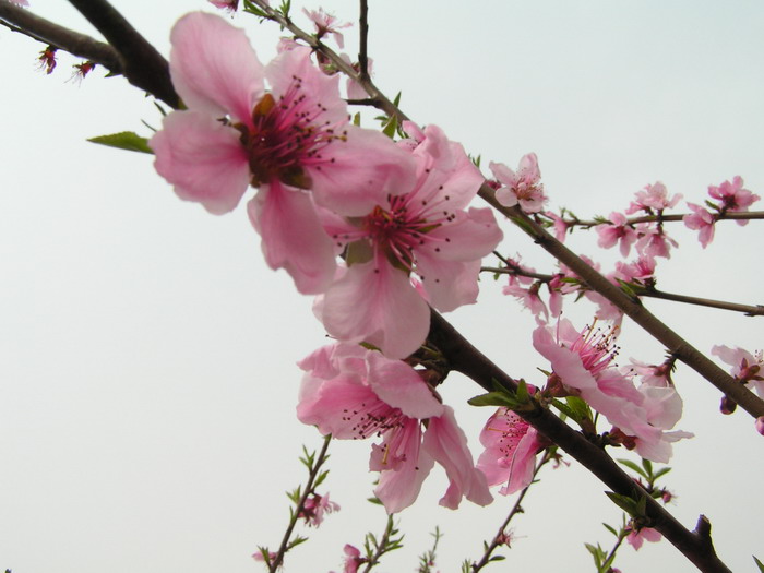pict0011_С.jpg