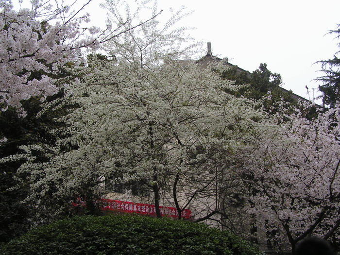 pict0004_С.jpg
