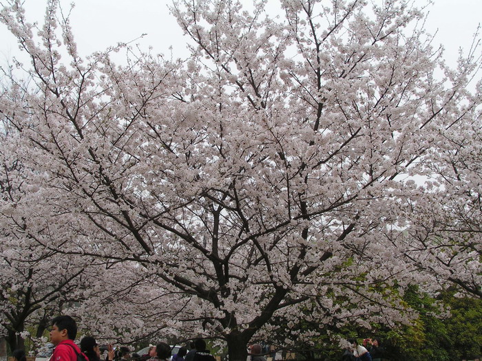 pict0026_С.jpg