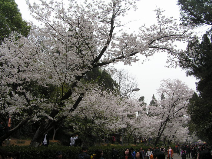 pict0050_С.jpg