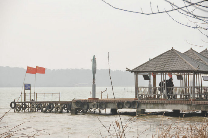 dsc_0985.jpg
