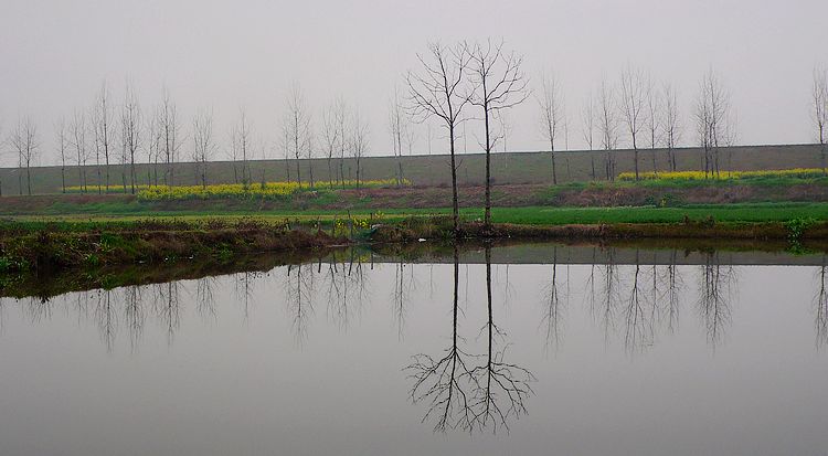 p1050464.jpg