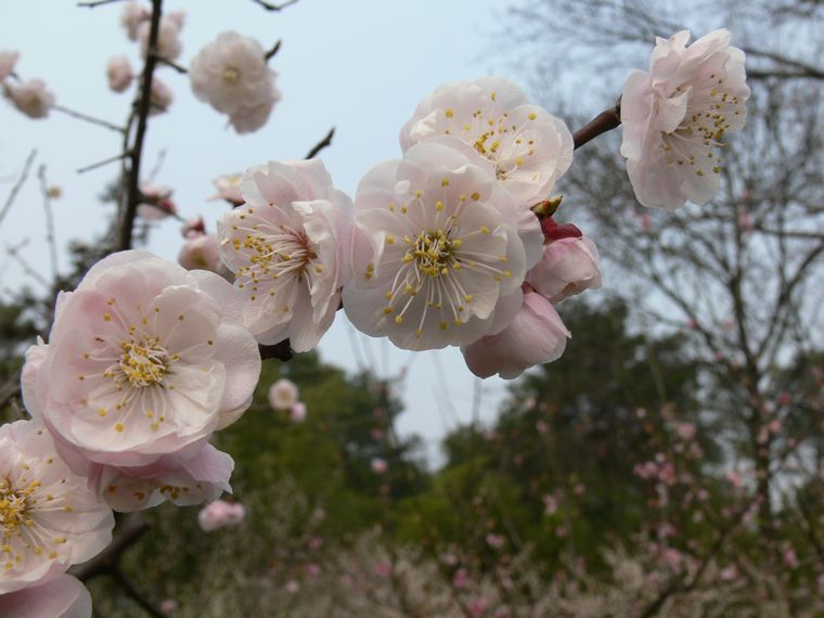p1090151.jpg