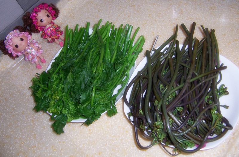20100321ɽŷ˹ 006_.jpg