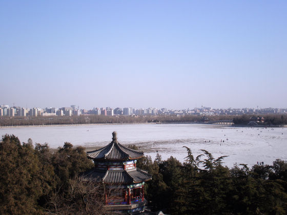 p2170837.jpg