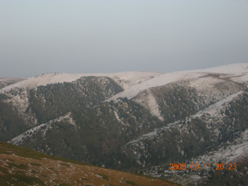 dscn2907.jpg