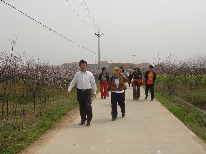 neo_img_dsc09769.jpg