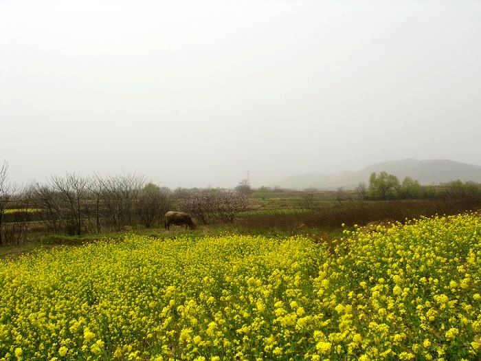neo_img_dsc09775.jpg