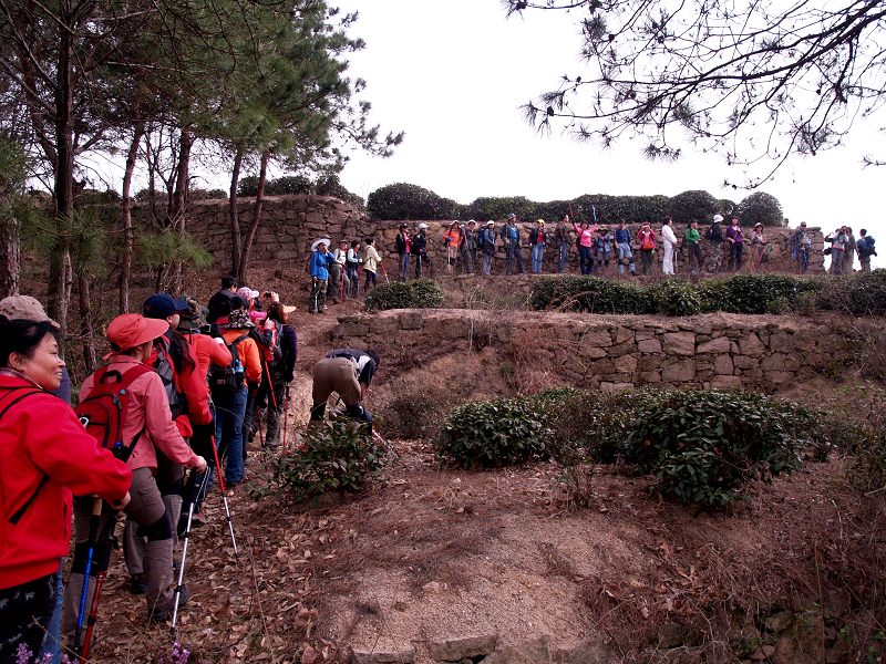 p3202558.jpg