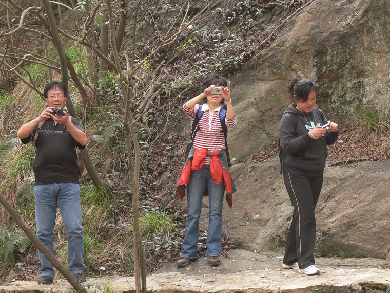 p1090314.jpg