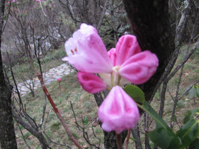 Ƭ 009.jpg