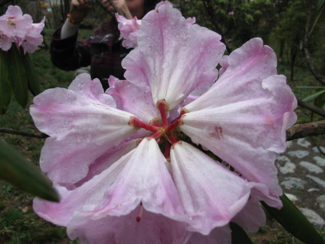 Ƭ 014.jpg