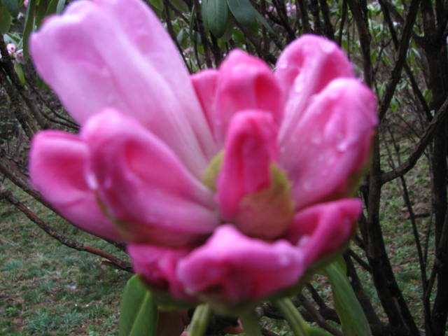 Ƭ 028.jpg