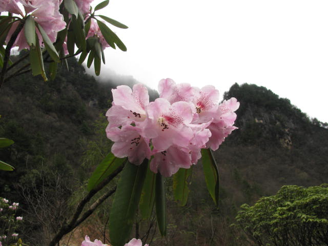 Ƭ 027.jpg
