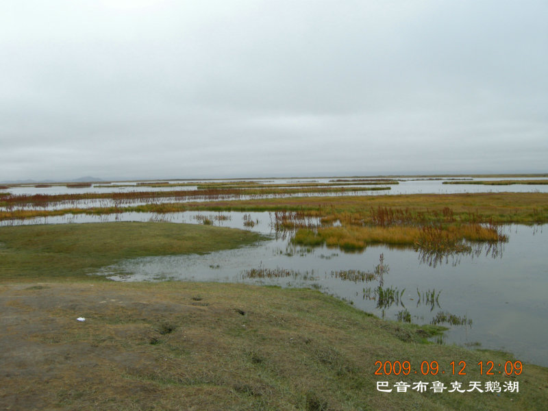 dscn2963.jpg
