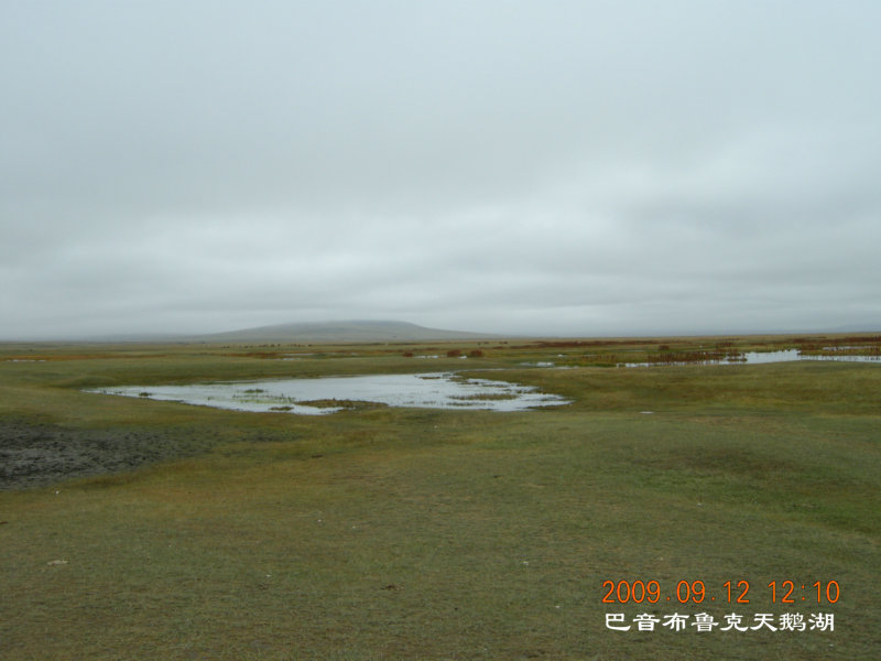 dscn2964.jpg