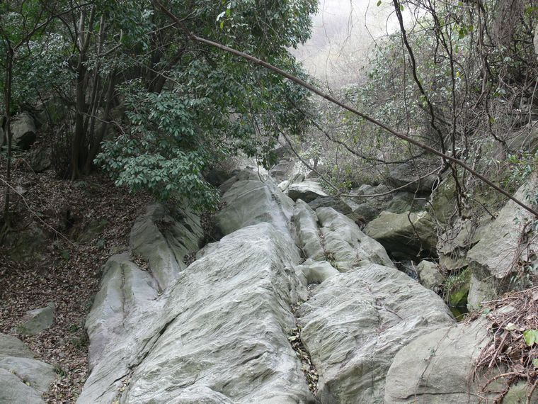 p1090437.jpg