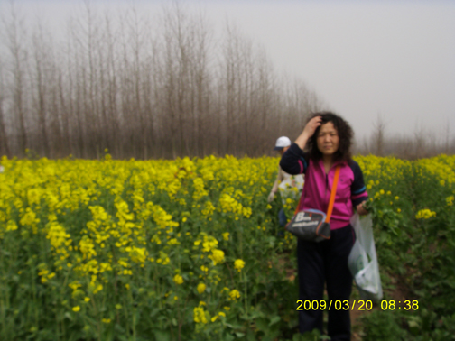 s73f1434.jpg
