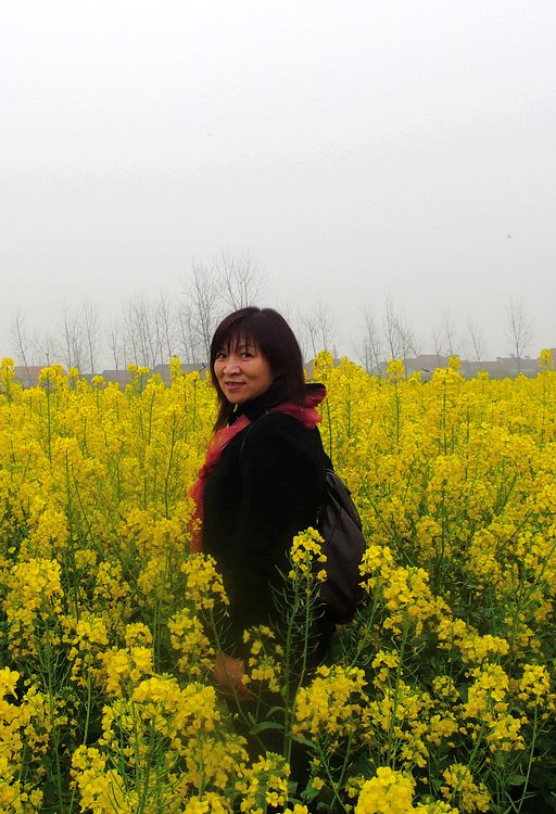 p1050433.jpg