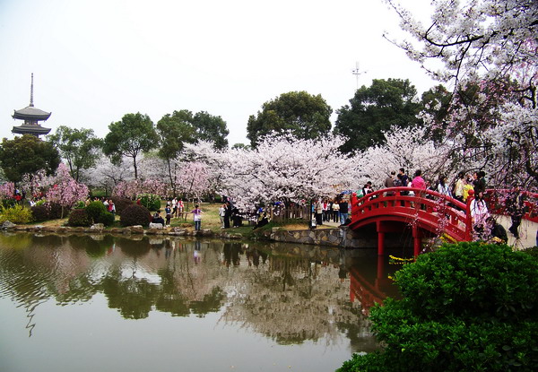 100_4225.jpg
