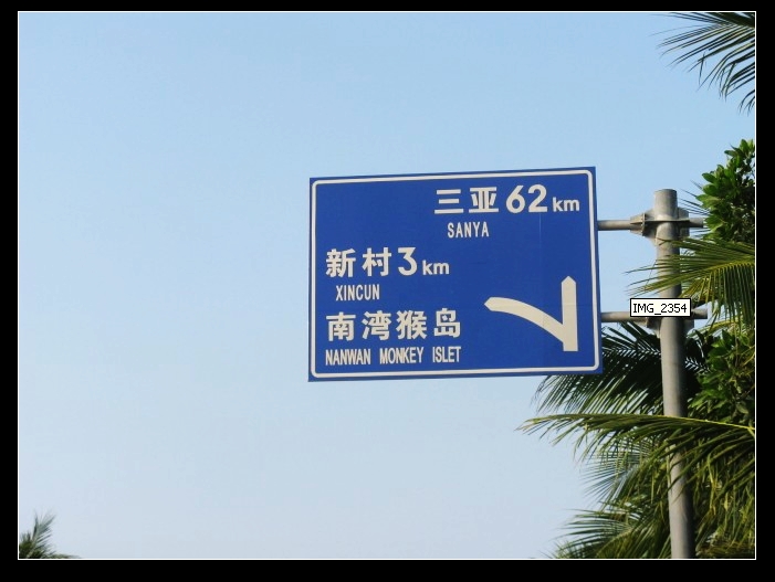 55.jpg