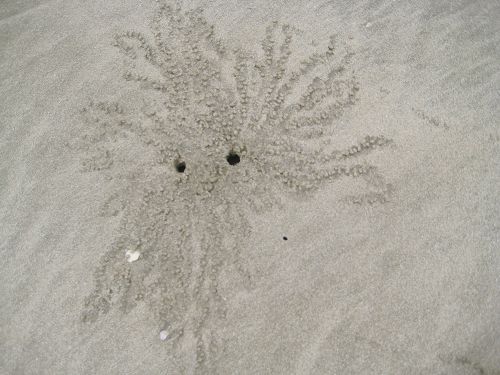 img_3616.jpg