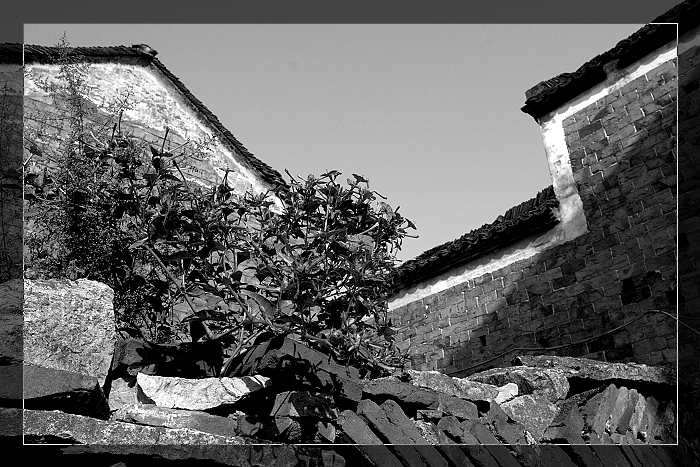 20091024_2302.jpg
