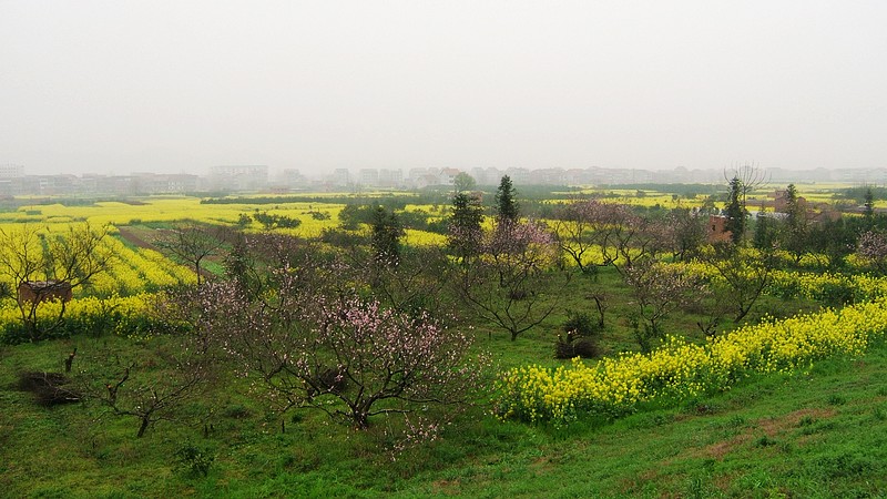dscf0404.jpg