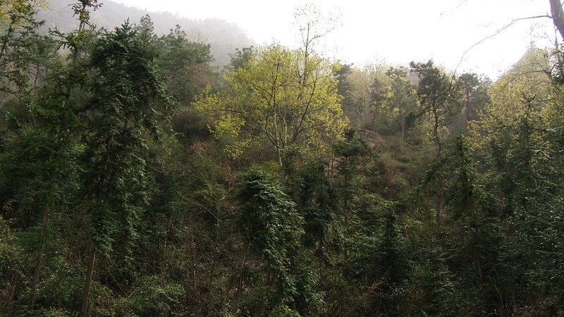 dscf0407.jpg