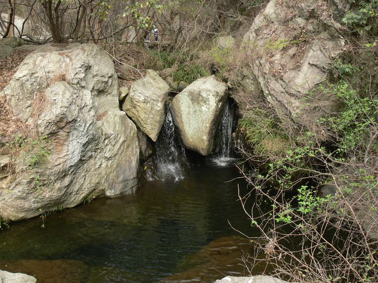 p1090420.jpg