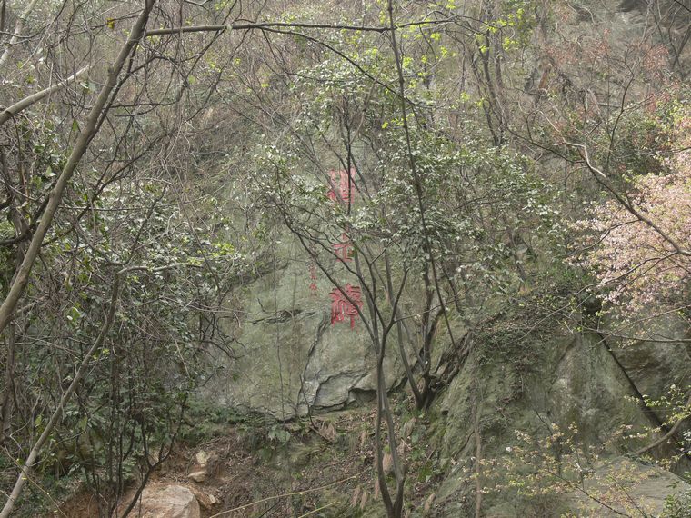 p1090438.jpg