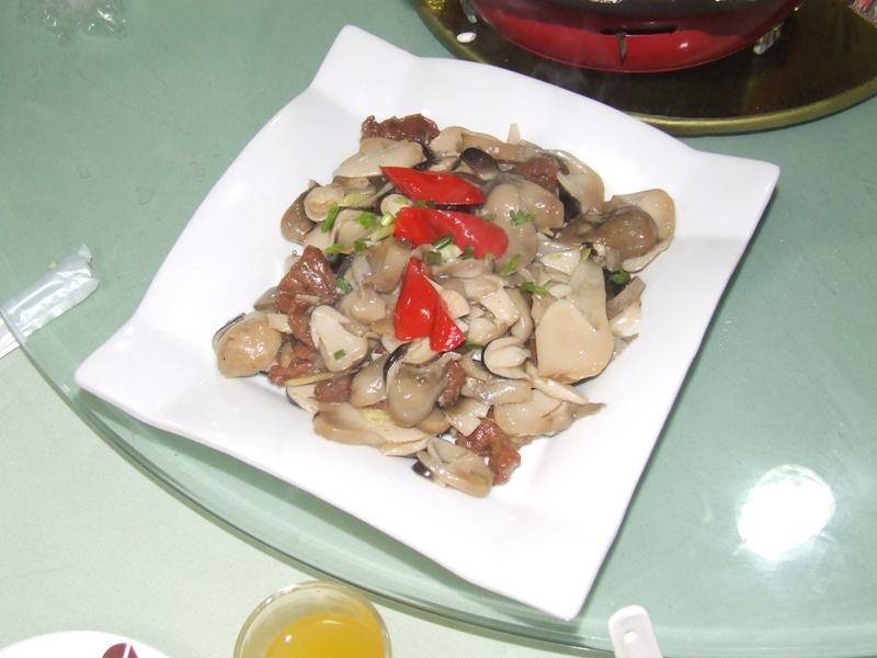 dscf0821.jpg