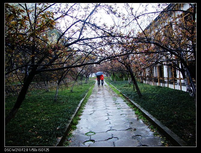 dsc03236-1.jpg