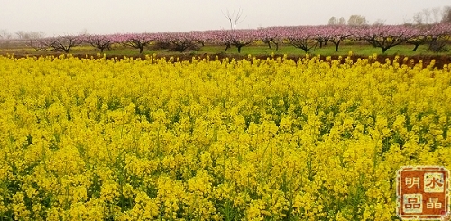 p1040037.jpg