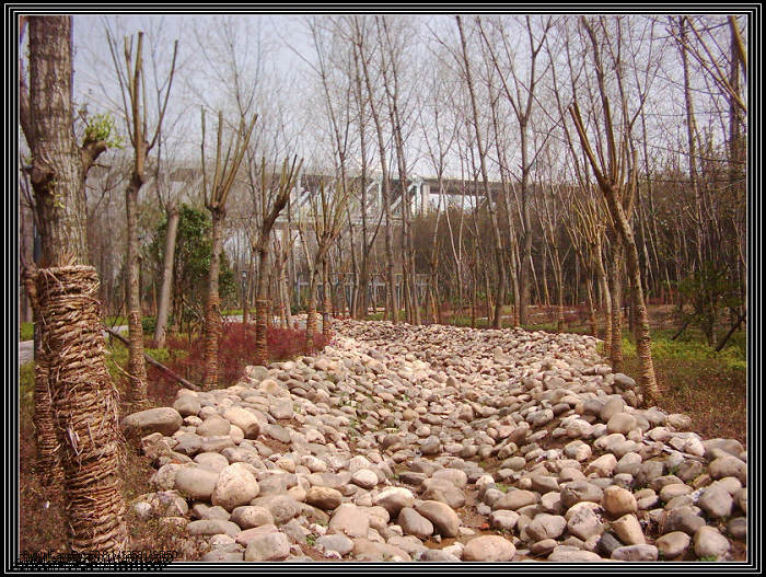 dsci0011.jpg