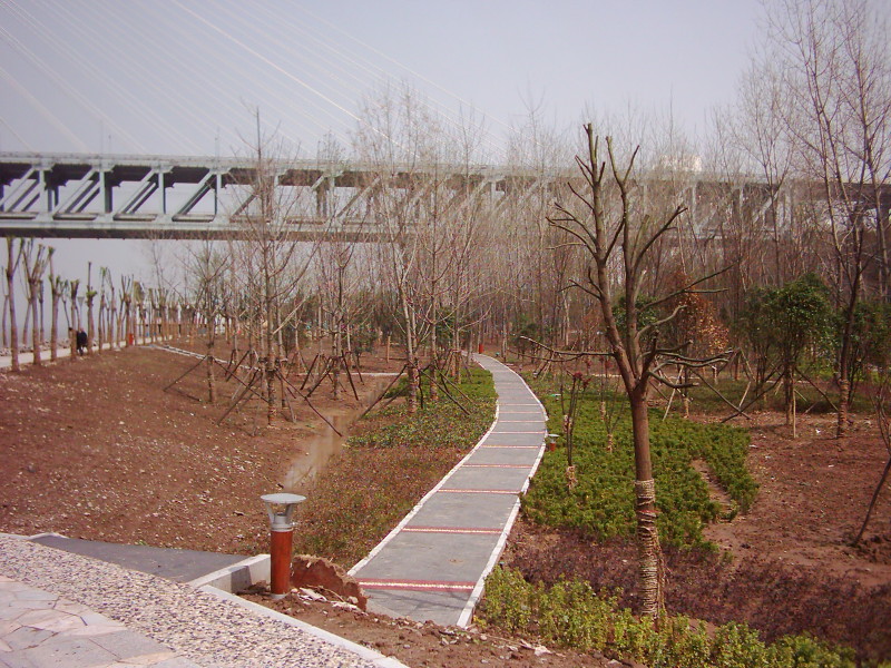 dsci0010.jpg