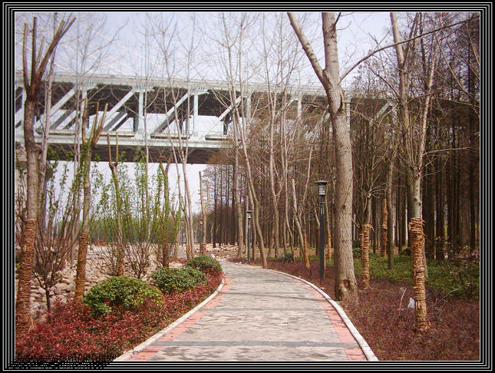 dsci0015.jpg