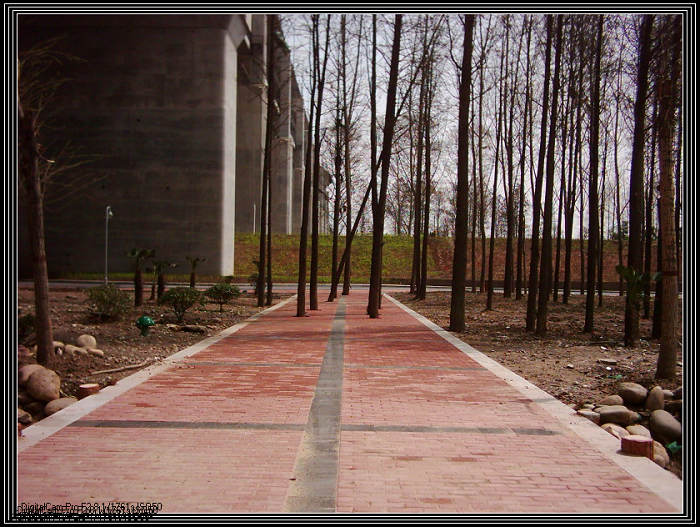 dsci0018.jpg