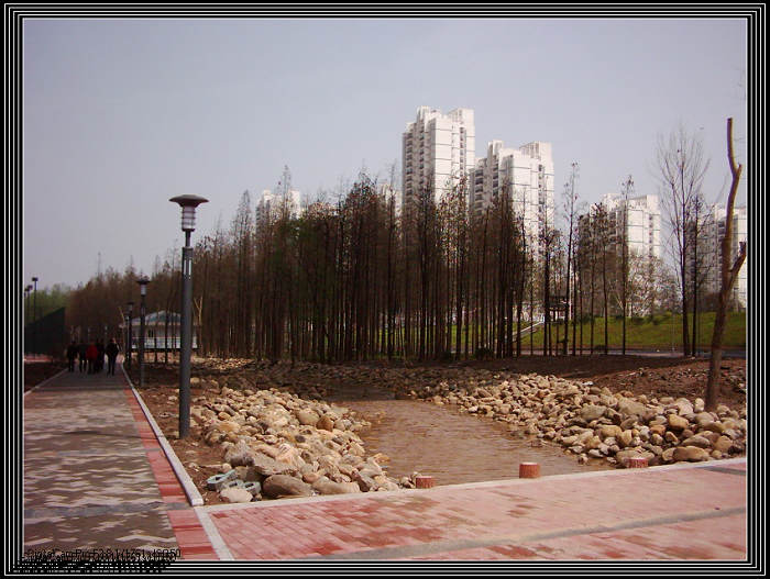 dsci0017.jpg