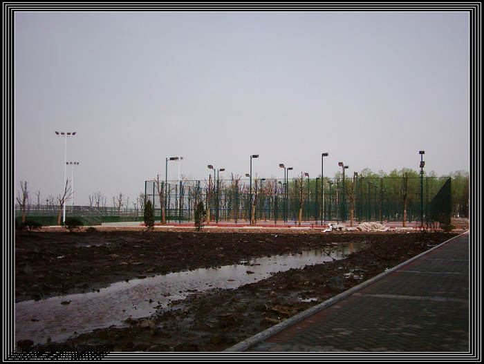 dsci0019.jpg