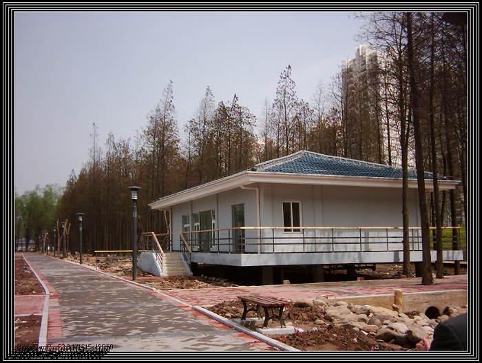dsci0020.jpg