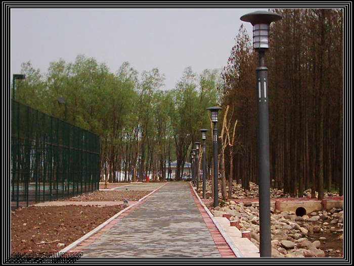dsci0022.jpg