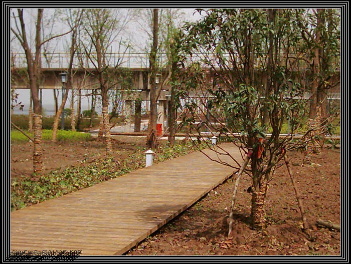 dsci0035.jpg