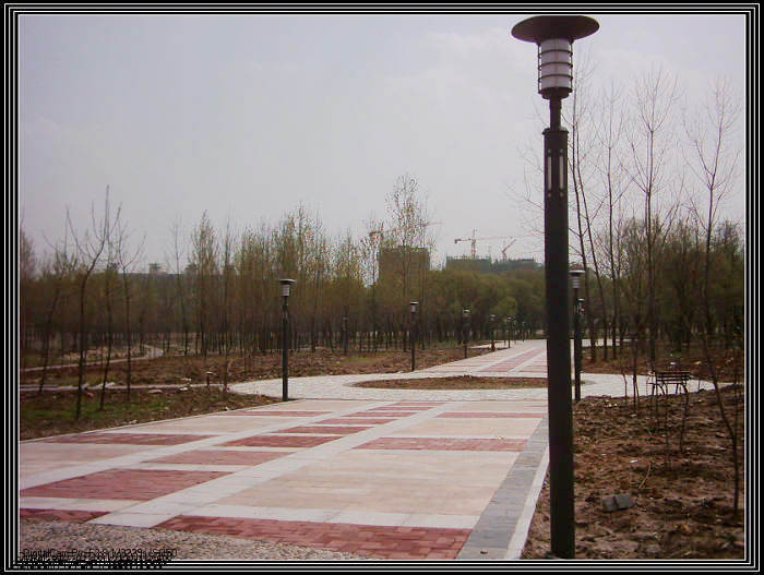dsci0039.jpg