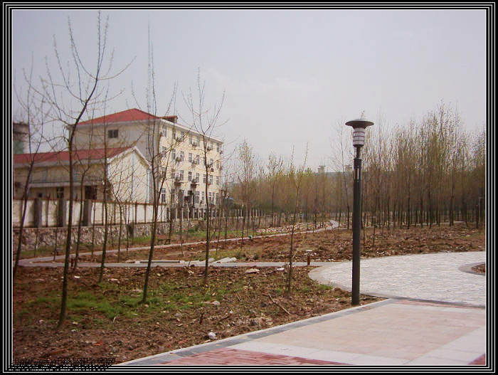 dsci0040.jpg