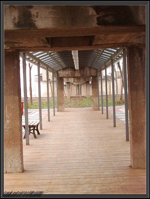 dsci0037.jpg