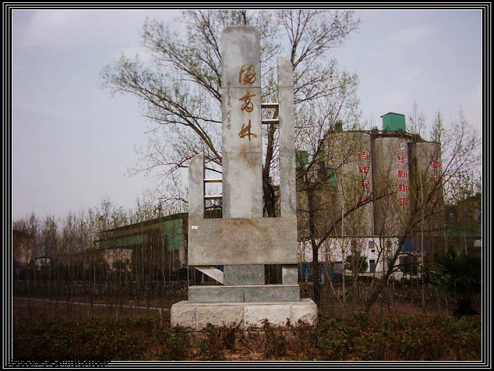 dsci0045.jpg
