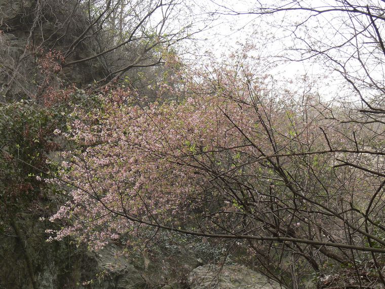 p1090441.jpg