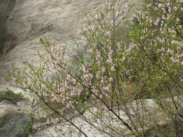 p1090447.jpg